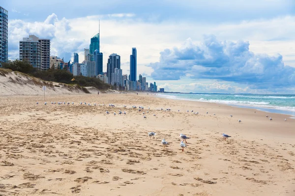 Spiaggia della Gold Coast australiana — Foto Stock