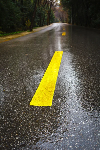 雨アスファルト道路 — ストック写真