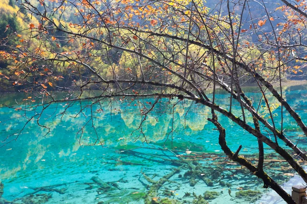 Lago Jiuzhaigou —  Fotos de Stock