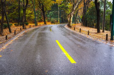 yağmur asfalt yol
