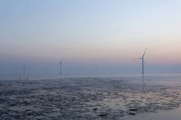 Wind Farm Coastline Morning Jiangsu China — Stockfoto