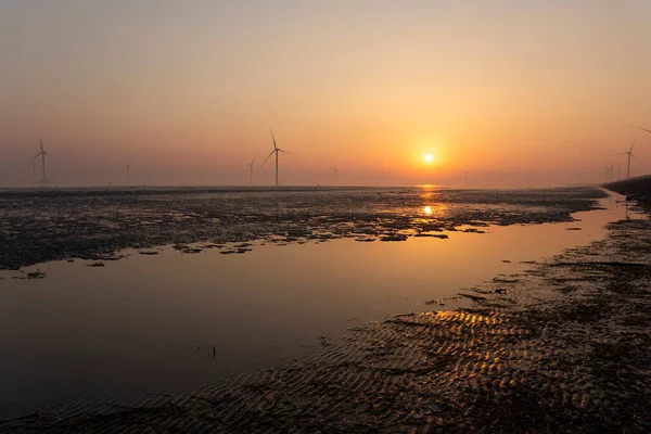 Wind Farm Coastline Morning Jiangsu China — Stock Photo, Image