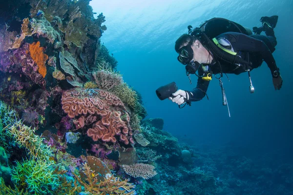 Immergitore su una barriera corallina sana — Foto Stock