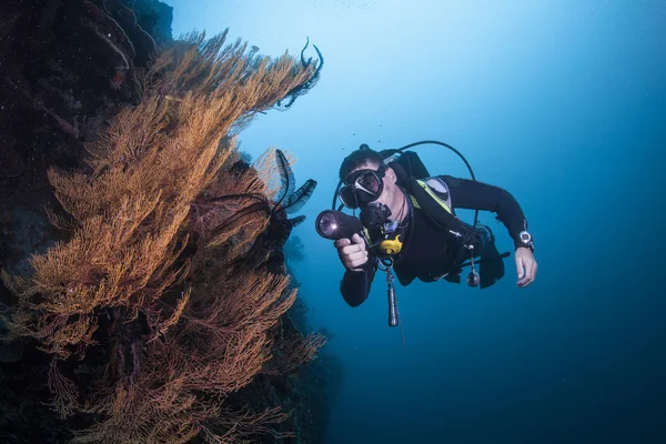 Buceador en un arrecife saludable —  Fotos de Stock