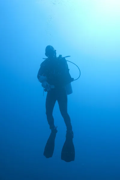 水中サンゴ礁スケープ — ストック写真