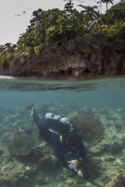 Immergitore su una barriera corallina sana — Foto Stock