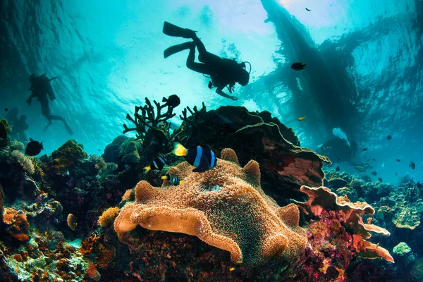 Escape de recifes subaquáticos — Fotografia de Stock