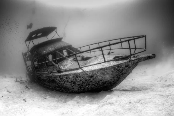 Podwodne rafa stosiny — Zdjęcie stockowe