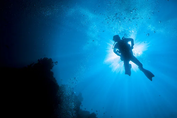 Escapas de recifes subaquáticos Fotos De Bancos De Imagens