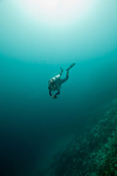 Activité sous-marine sur un récif sain — Photo