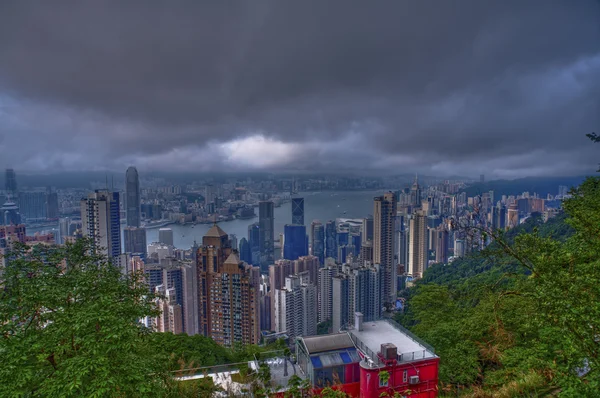 Metropolis in een forest — Stockfoto