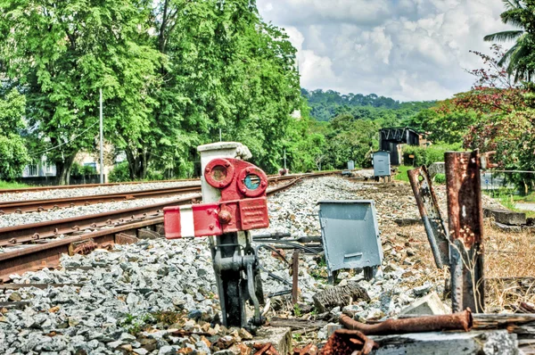 Eisenbahnkreuzung im Wald — Stockfoto