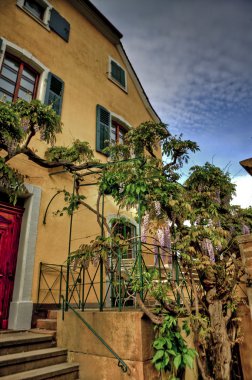 bitkiler evin girişinde