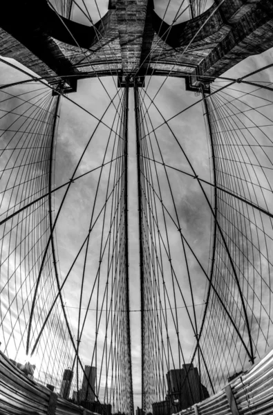 Brooklyn Bridge - Fischauge, schwarz und weiß — Stockfoto