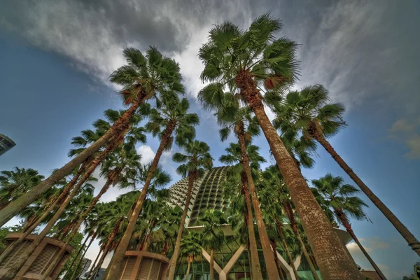 Esplanade & palm bomen in singapore — Stockfoto