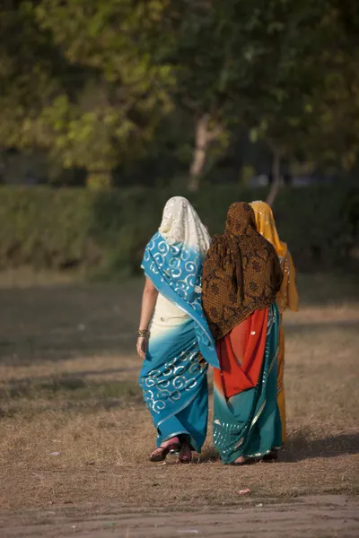전통적인 인도 의류에서 여자 — 스톡 사진