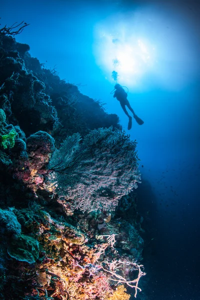 Diver swimming deeply under water — Stock Photo, Image