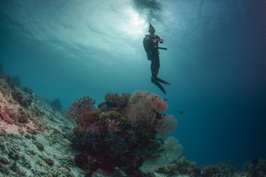 derin su altında yüzmek dalgıç