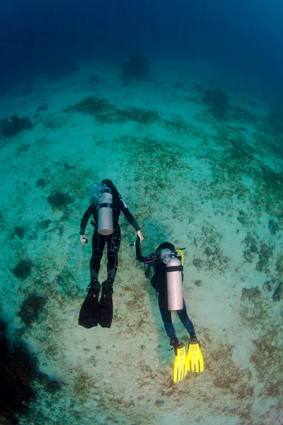 Два водолаза под водой — стоковое фото