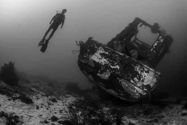 Paisaje marino submarino —  Fotos de Stock
