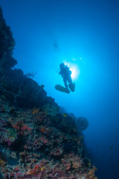 Dykare simmar djupt under vatten — Stockfoto
