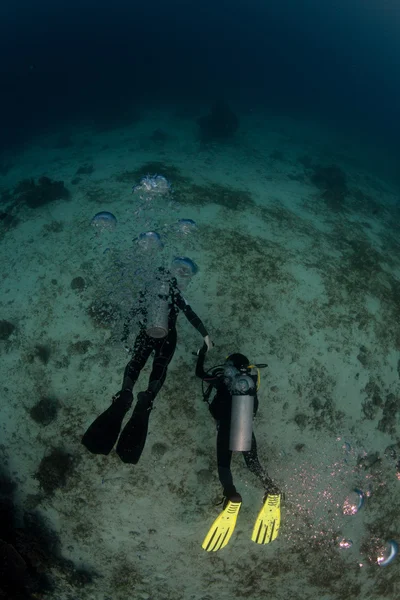 Dos buceadores bajo el agua — Foto de Stock