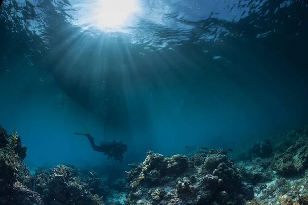 Mergulhador nadando profundamente debaixo d 'água — Fotografia de Stock
