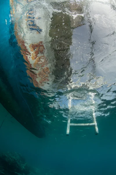 Onderwater zeegezicht — Stockfoto