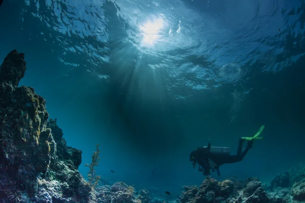 Diver swimming deeply under water — Stock Photo, Image