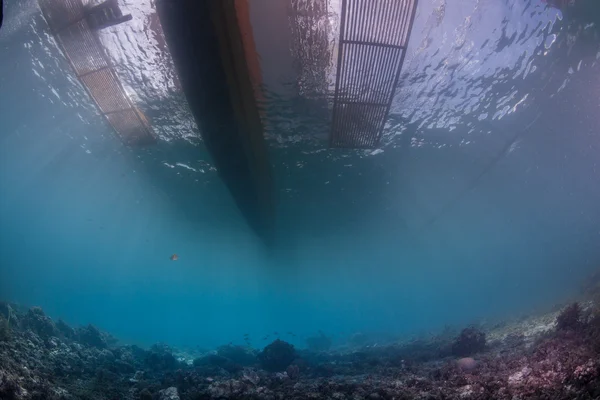 水下海景 — 图库照片