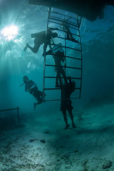 Groupe de plongeurs sous l'eau — Photo