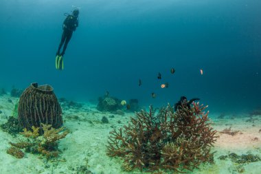 derin su altında yüzmek dalgıç