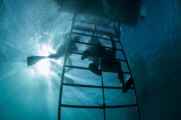 Diver swimming deeply under water — Stock Photo, Image