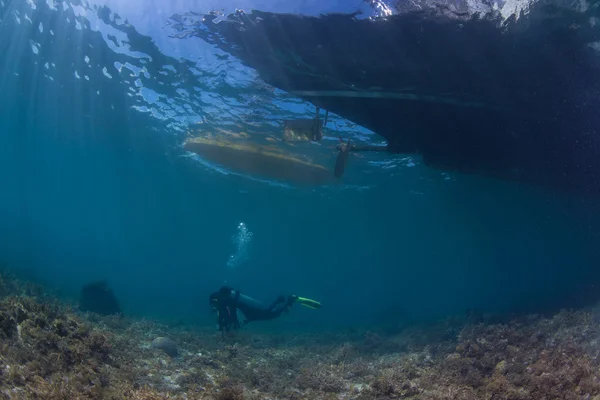 Underwater activity on a healthy reef — Stock Photo, Image