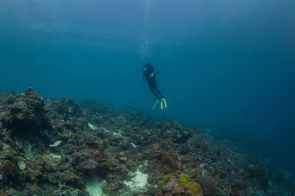 Buceador nadando profundamente bajo el agua —  Fotos de Stock