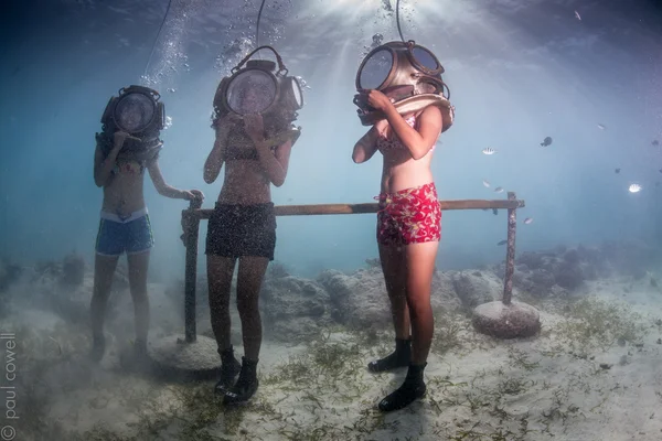 Grupp dykare under vatten — Stockfoto