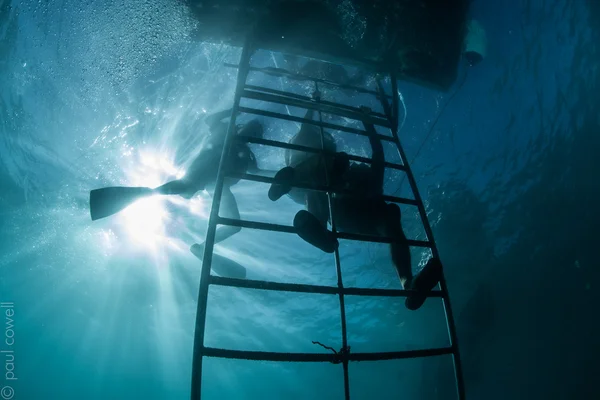 Underwater aktivitet — Stockfoto