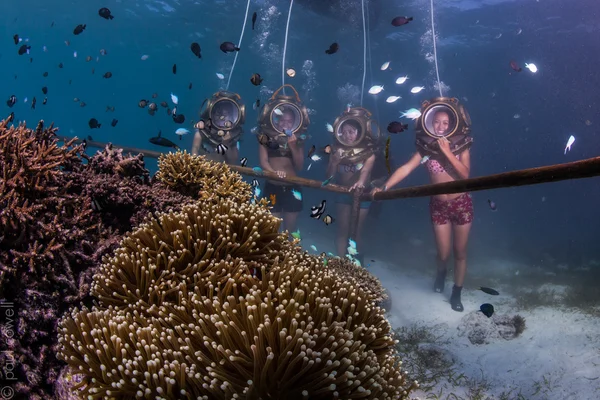 Grupo de mergulhadores debaixo de água — Fotografia de Stock