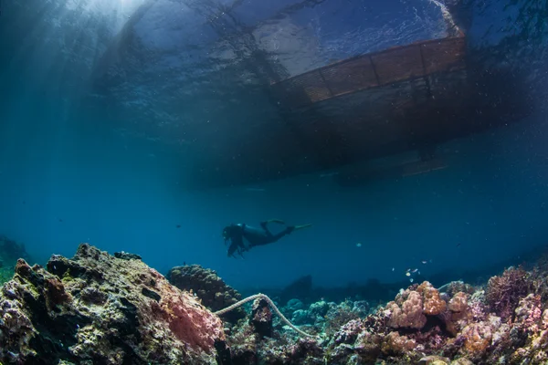 Buceador nadando profundamente bajo el agua — Foto de Stock
