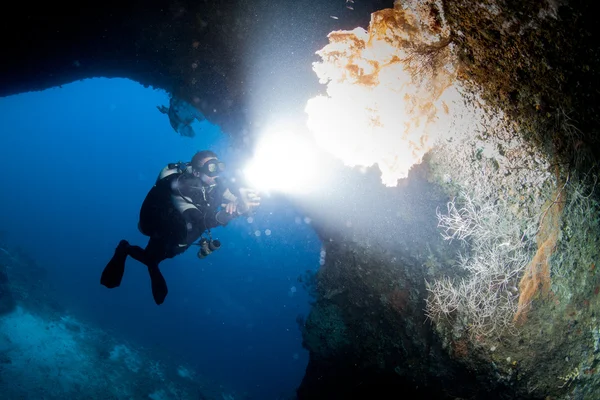Mergulhador revisando um recife saudável — Fotografia de Stock