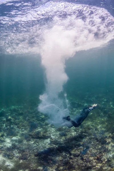 Dykare granska en hälsosam reef — Stockfoto