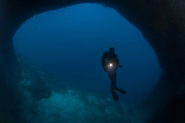 Dykare granska en hälsosam reef — Stockfoto