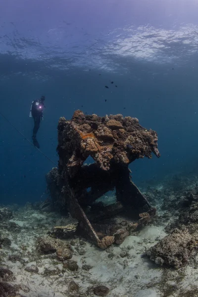 Paisaje del arrecife — Foto de Stock