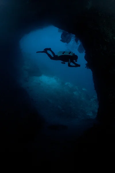 Дайвер рассматривает здоровый риф Стоковое Изображение