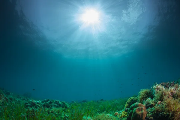 Paisaje del arrecife Imagen De Stock