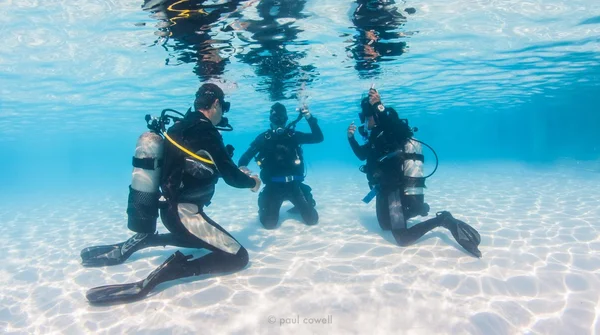 Learning scuba skills in the pool — Φωτογραφία Αρχείου