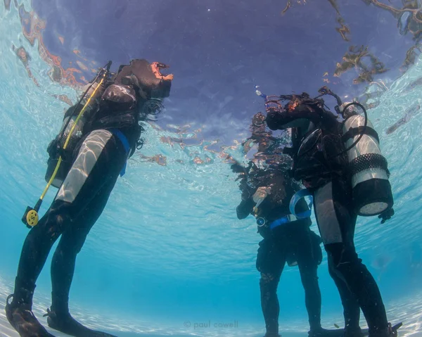 Learning scuba skills in the pool — 스톡 사진