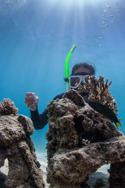 Underwater scuba diving — Stock Photo, Image