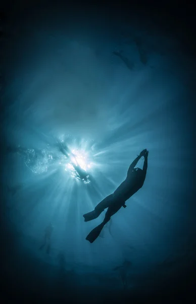 Freediver силует — стокове фото