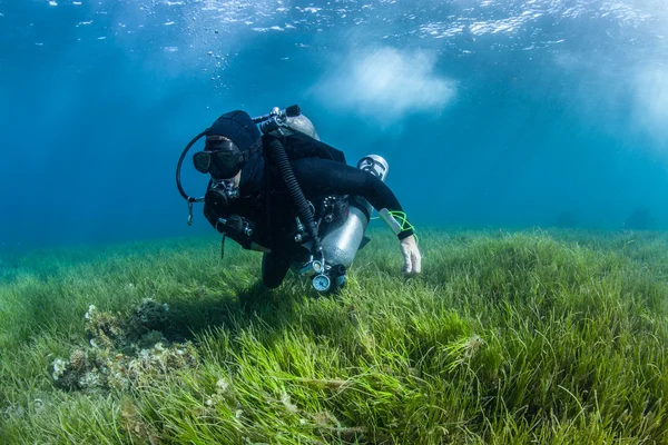 Habilidades técnicas de buceo — Foto de Stock